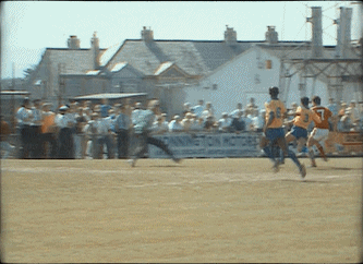 7.gif