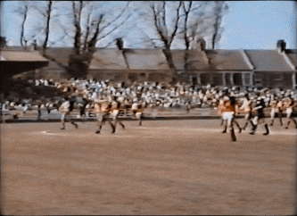 8.gif