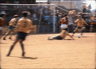 19.gif